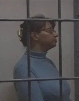 Нишанова Елена. Поддержка политзаключённых. Мемориал