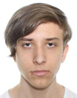 Александр Метлицкий